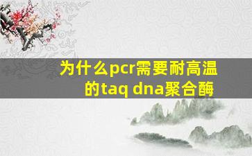 为什么pcr需要耐高温的taq dna聚合酶